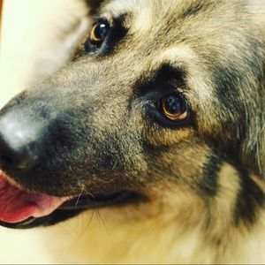 Meet your Posher, Janette